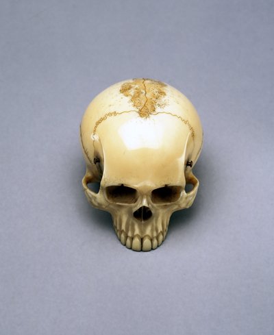 Modelo de un cráneo, probablemente un netsuke, japonés de Unbekannt Unbekannt