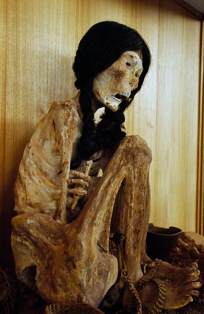 Momia conocida como Miss Chile, de San Pedro de Atacama, Chile, 500 a.C. de Unbekannt Unbekannt