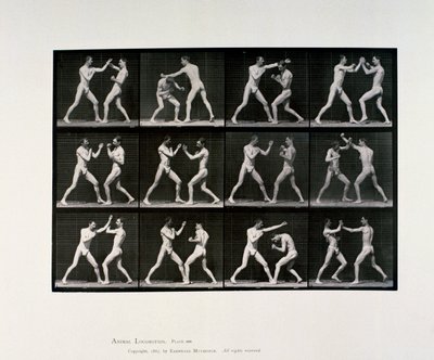 Atletas masculinos desnudos boxeando, c 1872-1885 de Unbekannt Unbekannt