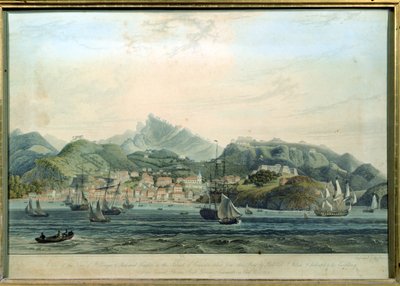 Vista de la Ciudad de San Jorge y Richmond Heights en la isla de Granada, grabado por William Daniell, c.1810 de Lieutenant Colonel J. Wilson