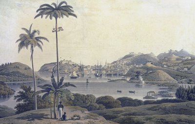 Vista de la ciudad de San Jorge en la isla de Granada, tomada desde la finca Belmont, grabado por William Daniell, c.1810 de Lieutenant Colonel J. Wilson
