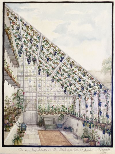 Las Dos Casas de Uvas en el Jardín de la Cocina, Aynhoe de Lili Cartwright