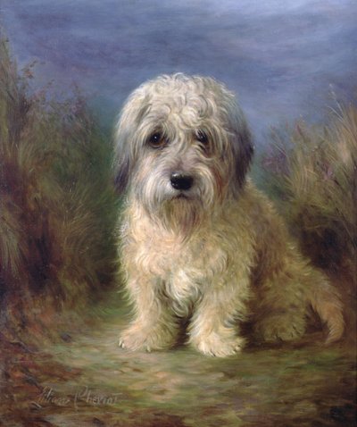 Dandie Dinmont Terrier (óleo sobre lienzo) de Lilian Cheviot