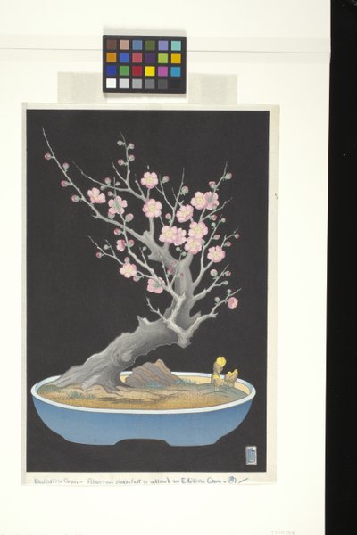 Ciruelo enano japonés (xilografía en color) de Lilian May Miller