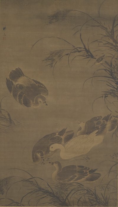 Gansos nadando, dinastía Ming, siglo XV de Lin Liang