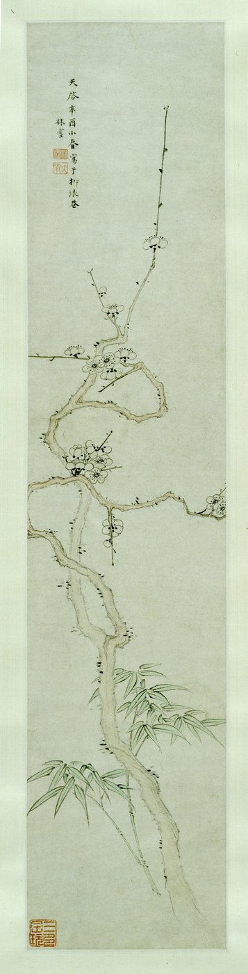 Prunus y bambú de Lin Xue