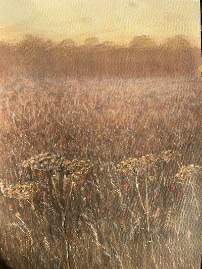 Campo de frijoles al anochecer de Lincoln Seligman