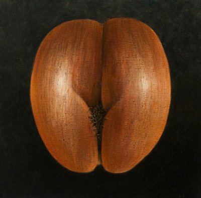Coco de Mer de Lincoln Seligman