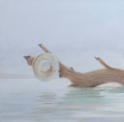 Sombrero en el arroyo, 2012 de Lincoln Seligman