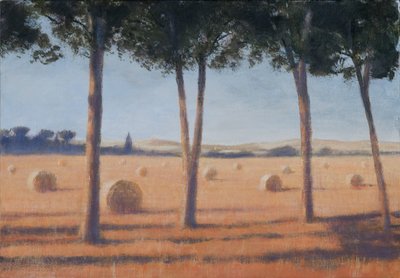 Pacas de Heno y Pinos, Pienza, 2012 de Lincoln Seligman