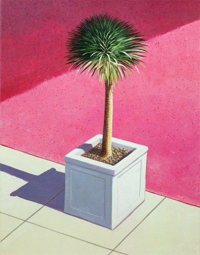 Palma pequeña, 1995 de Lincoln Seligman