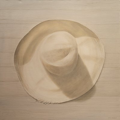 Sombrero de Viaje en Mesa Polvorienta, 2010 de Lincoln Seligman