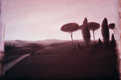 Paisaje toscano, 1992 de Lincoln Seligman