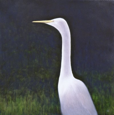 Garza Blanca de Lincoln Seligman