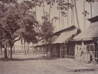 Amerapoora: Barracas de la Guardia Birmana de Linnaeus Tripe
