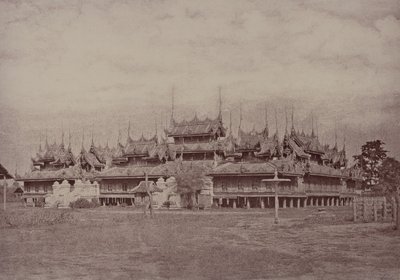 Amerapoora: Magwe Wundouk Kyoung de Linnaeus Tripe