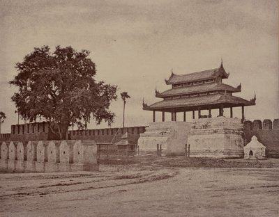 Amerapoora: Puerta Ooh-nein de la Ciudad de Linnaeus Tripe