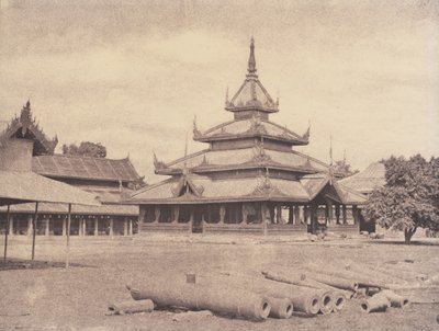 Amerapoora: Palacio del Elefante Blanco de Linnaeus Tripe