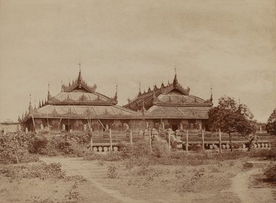 Amerapoora: Pyee-dyk Kyoung de Linnaeus Tripe