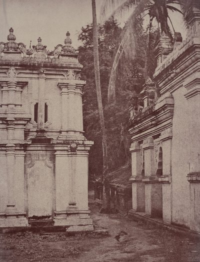 Amerapoora: Vista entre las pagodas cerca de la estatua de Linnaeus Tripe
