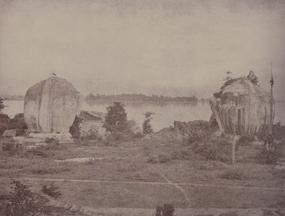 Mengoon: Grifos en Ruinas de Linnaeus Tripe