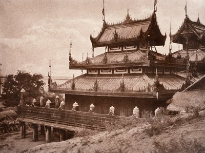 No. 8. Ye-nan-gyoung [Yenangyaung]. Kyoung. de Linnaeus Tripe
