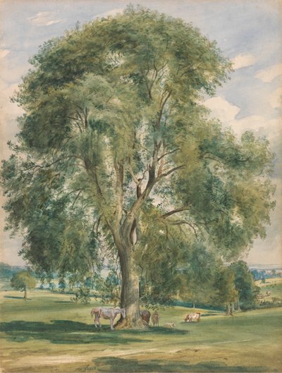 Un gran árbol en un paisaje de verano, un caballo en la base de Lionel Constable