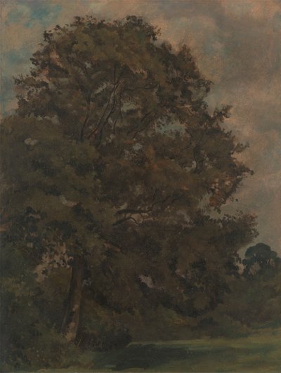Estudio de un fresno de Lionel Constable