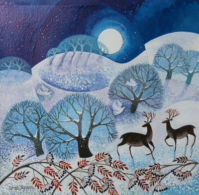 Tierra nevada, 2017 de Lisa Graa Jensen