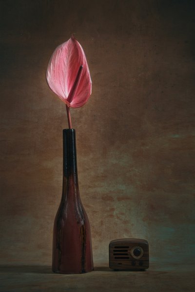  de Liu Xing