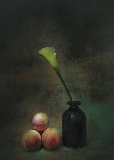  de Liu Xing