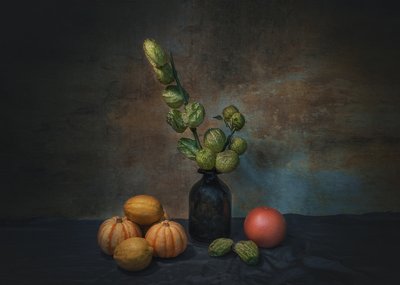  de Liu Xing