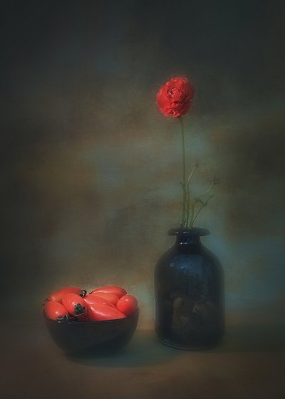  de Liu Xing