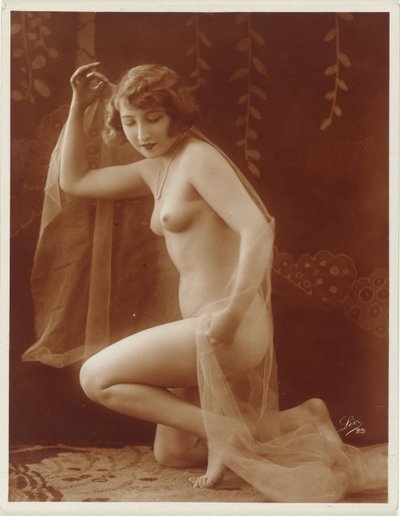 Desnudo femenino con velo de Léo