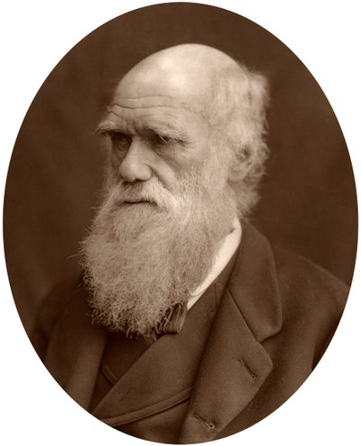 Charles Darwin, 1878 de Lock and Whitfield