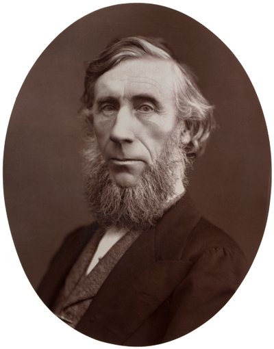 John Tyndall, DCL, LLD, FRS, Profesor de Filosofía Natural en la Royal Institution, 1877 de Lock and Whitfield