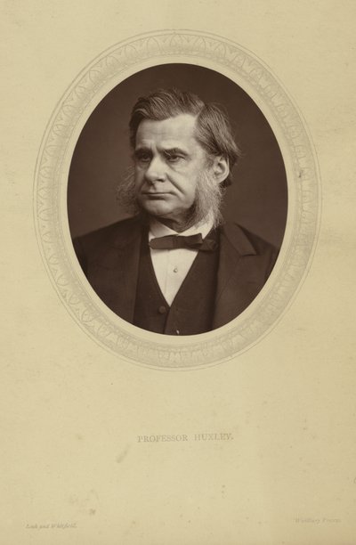 Retrato de Thomas Henry Huxley de Lock and Whitfield