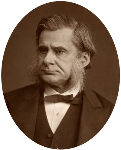 Profesor Thomas Henry Huxley, 1880 de Lock and Whitfield