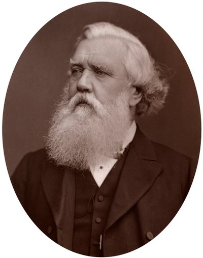 El Honorable Austen Henry Layard DCL, Embajador Británico en Constantinopla, 1877 de Lock and Whitfield