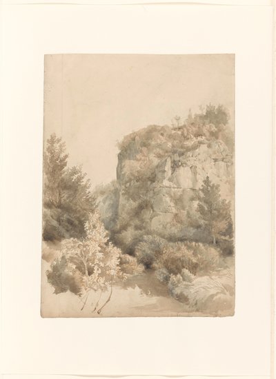 Valle vegetado con una roca alta y un arroyo de Lodewijk Johannes Kleijn