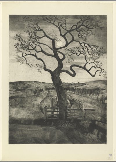 Caballo en un prado cerca de Etikhove
Vieux cheval en reposo (título original) de Lodewijk Schelfhout (signed by artist)