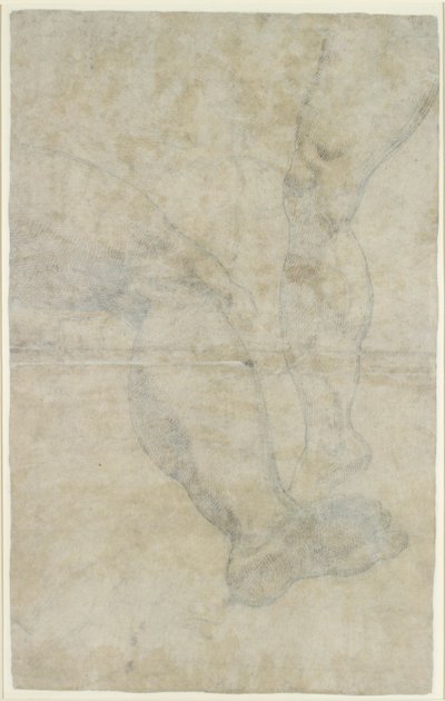 Estudios de dos pares de piernas de Lodovico Carracci