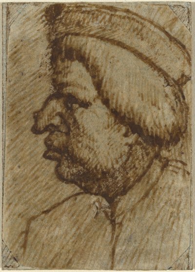 Perfil de un hombre de Lombard 16th Century