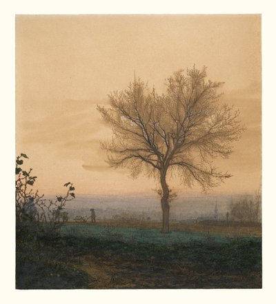 Paisaje con un árbol desnudo y un labrador de Léon Bonvin