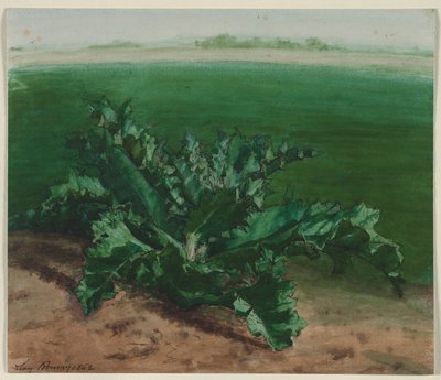 Study of a Plant, Possibly Thistle de Léon Bonvin