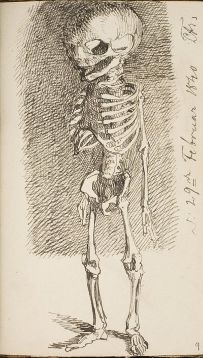Boceto de un esqueleto de pie de Lorenz Frølich