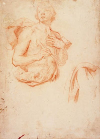 Joven, medio cuerpo con torso desnudo, y un estudio de drapeado de Lorenzo Lippi