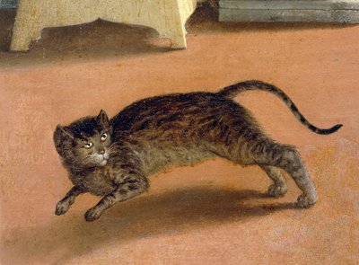 Gato aterrorizado, detalle de la Anunciación de Recanati, ca 1534, por Lorenzo Lotto (1480-1556), óleo sobre lienzo de Lorenzo Lotto