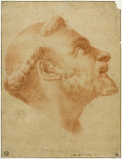 Cabeza Volteada de Santo Domingo de Lorenzo Sabbatini