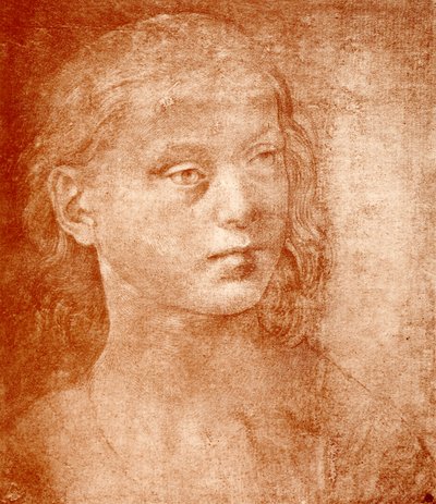 Cabeza de niña de Lorenzo di Credi